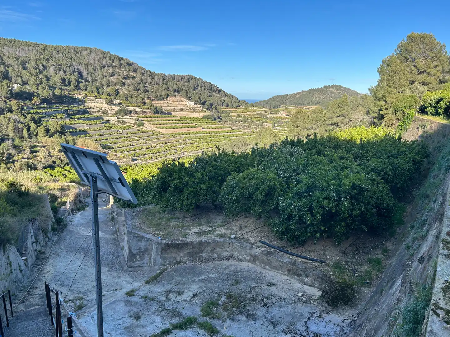 Vista exterior de Finca rústica en venda en Oliva amb Moblat