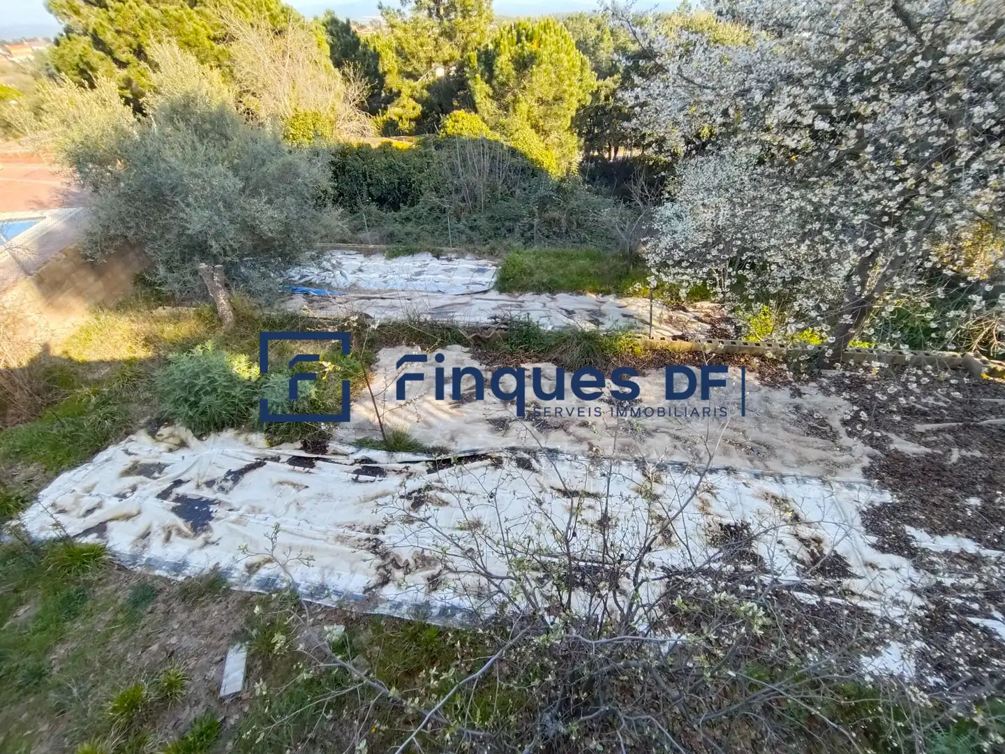Chalet en venta en Riudarenes, imagen 25