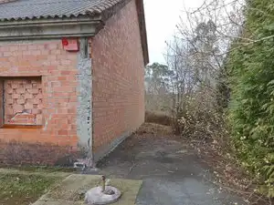 Casa en venta en Teo, imagen 5