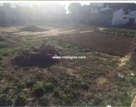 Residential land for sale in Benavent de Segrià, imagen 6