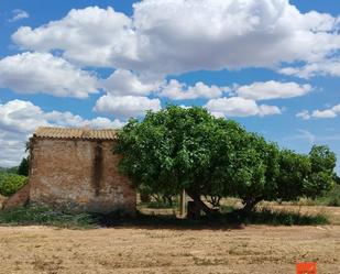 Vista exterior de Finca rústica en venda en Tortosa