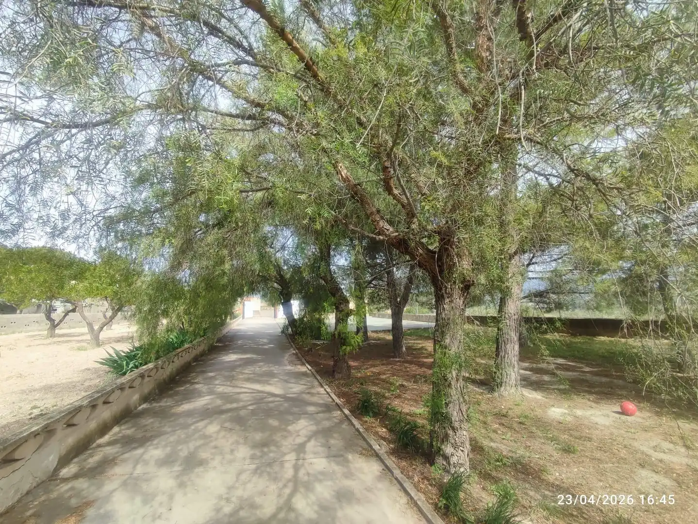 Vista exterior de Casa o chalet en venta en Ibi con Jardín privado, Terraza y Piscina