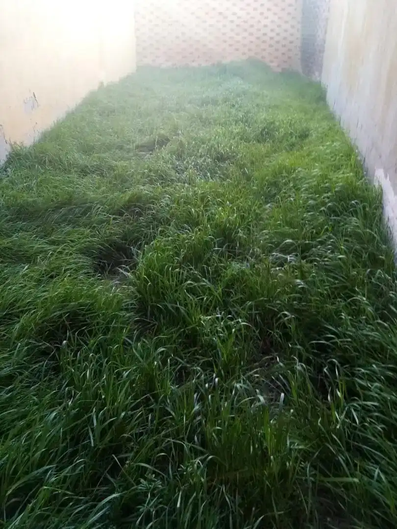 Planta baixa en venda en Cuenca de Campos amb Jardí privat, Microones i TV