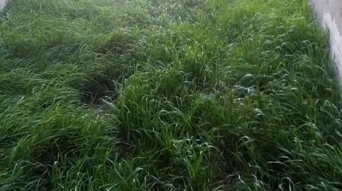 Foto 2 de Planta baixa en venda a Calle Domingo Vero, 8, Cuenca de Campos, Valladolid