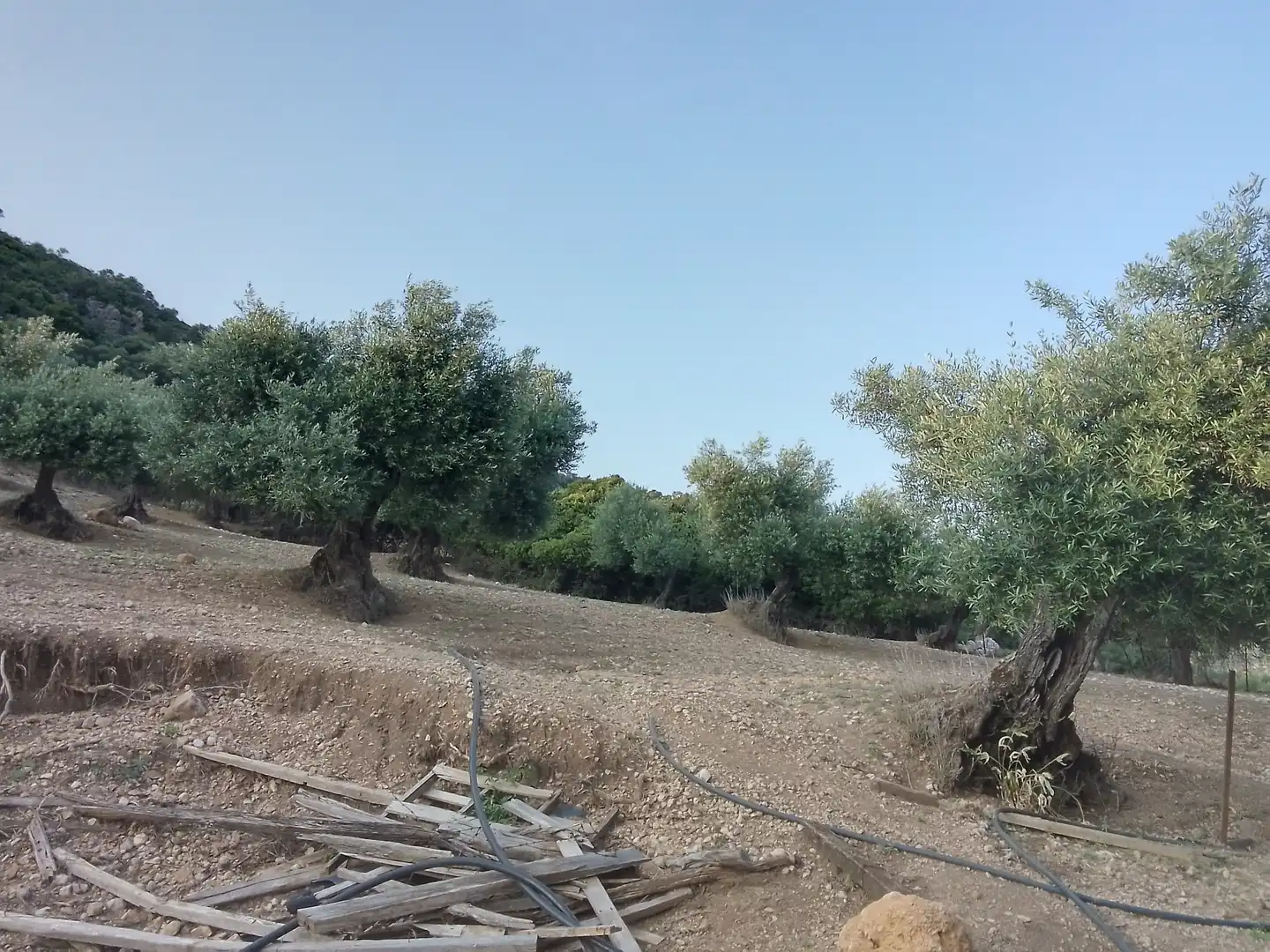 Terreno rústico en venta en Villamartín, imagen 2