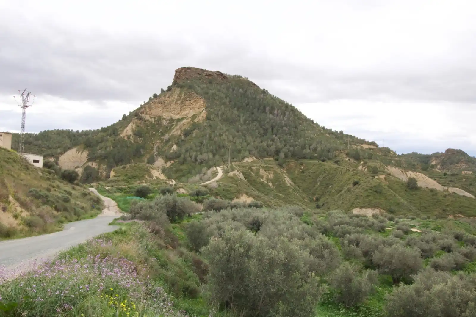 Residencial en venta en Algezares