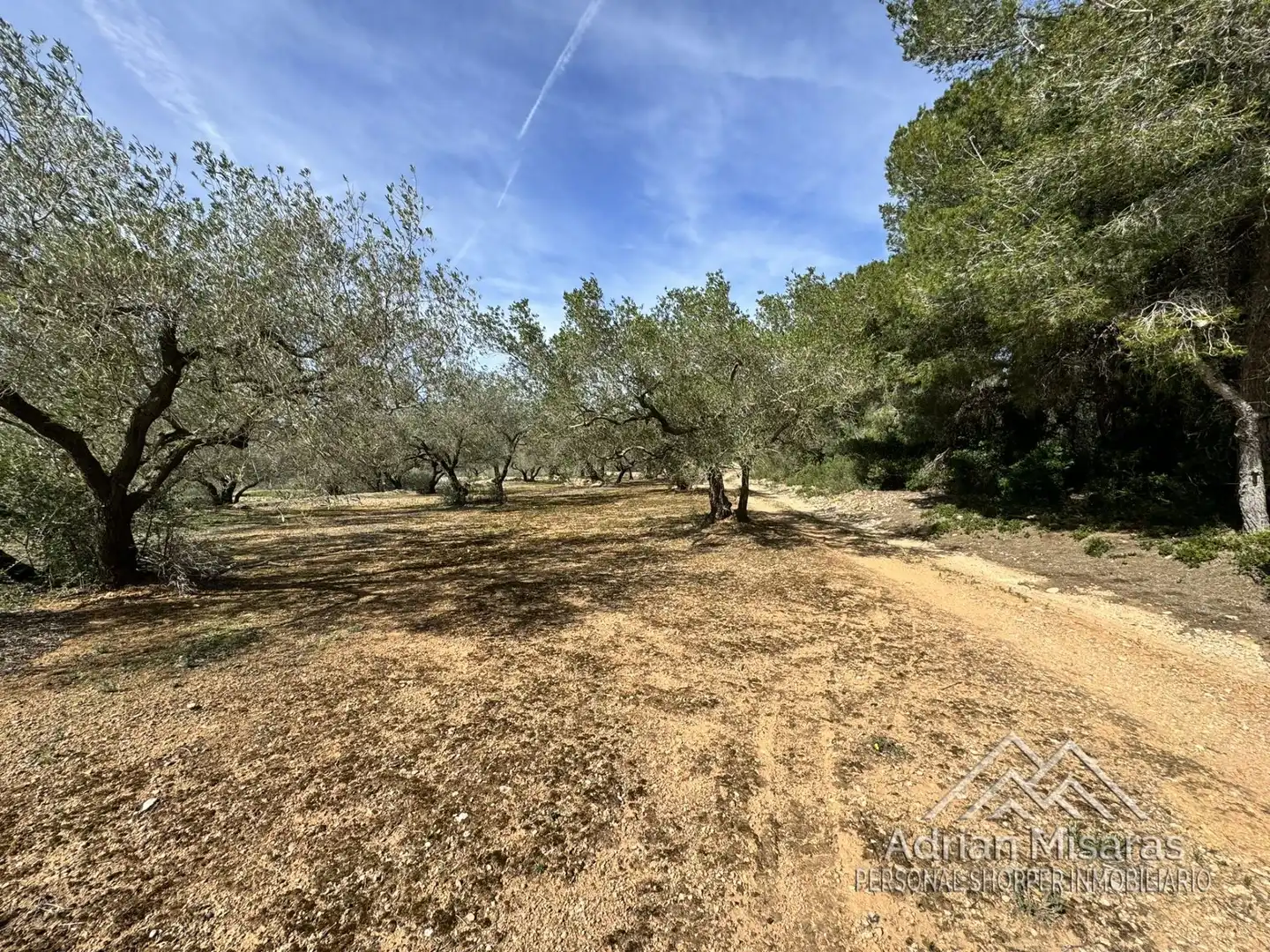 Terreno rústico en venta en L'Aldea, imagen 44