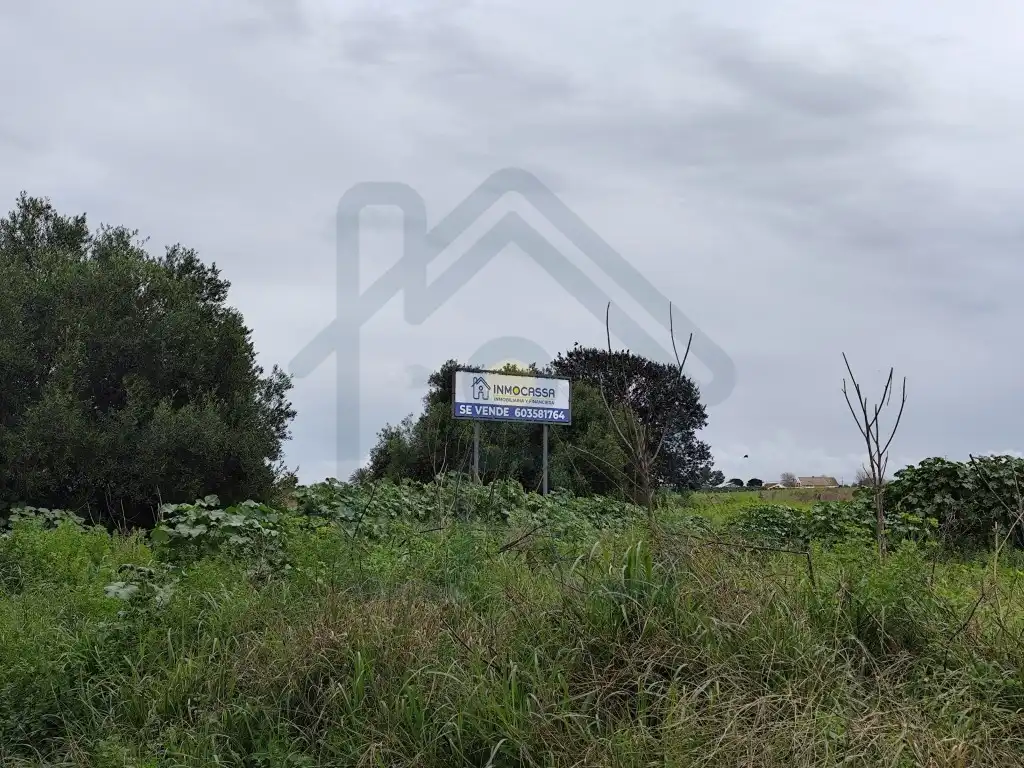 Terreno rústico en venta en Los Palacios y Villafranca