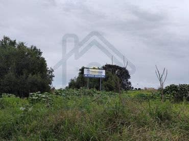 Terreno rustico in vendita a Los Palacios y Villafranca