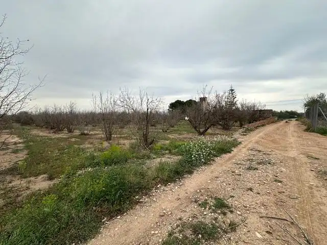 Terrenys i solars en venda a PDA PLANES DEL ROQUÍS POL 3 PARC. 47, imagen 7