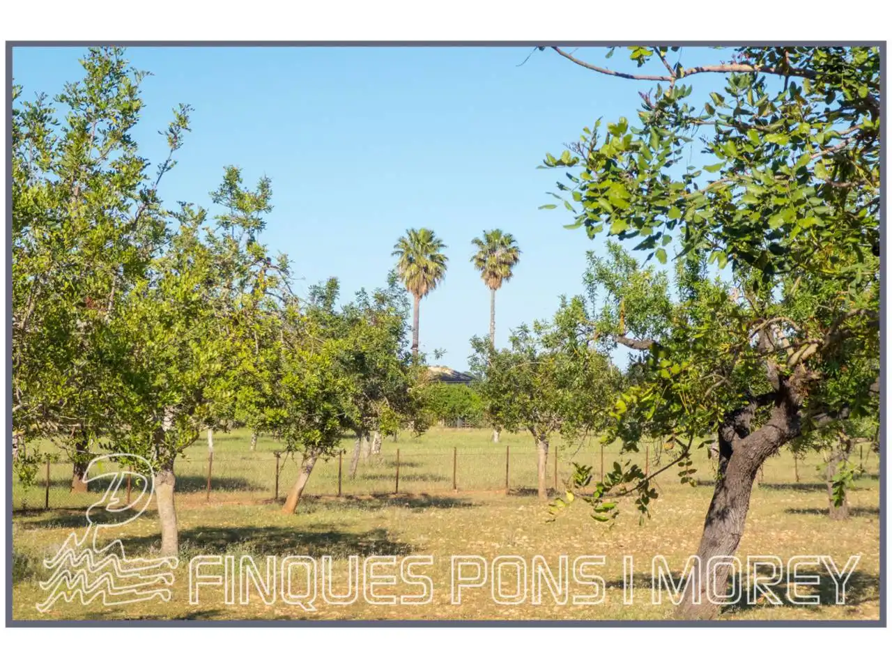Finca rústica en venda en Campanet