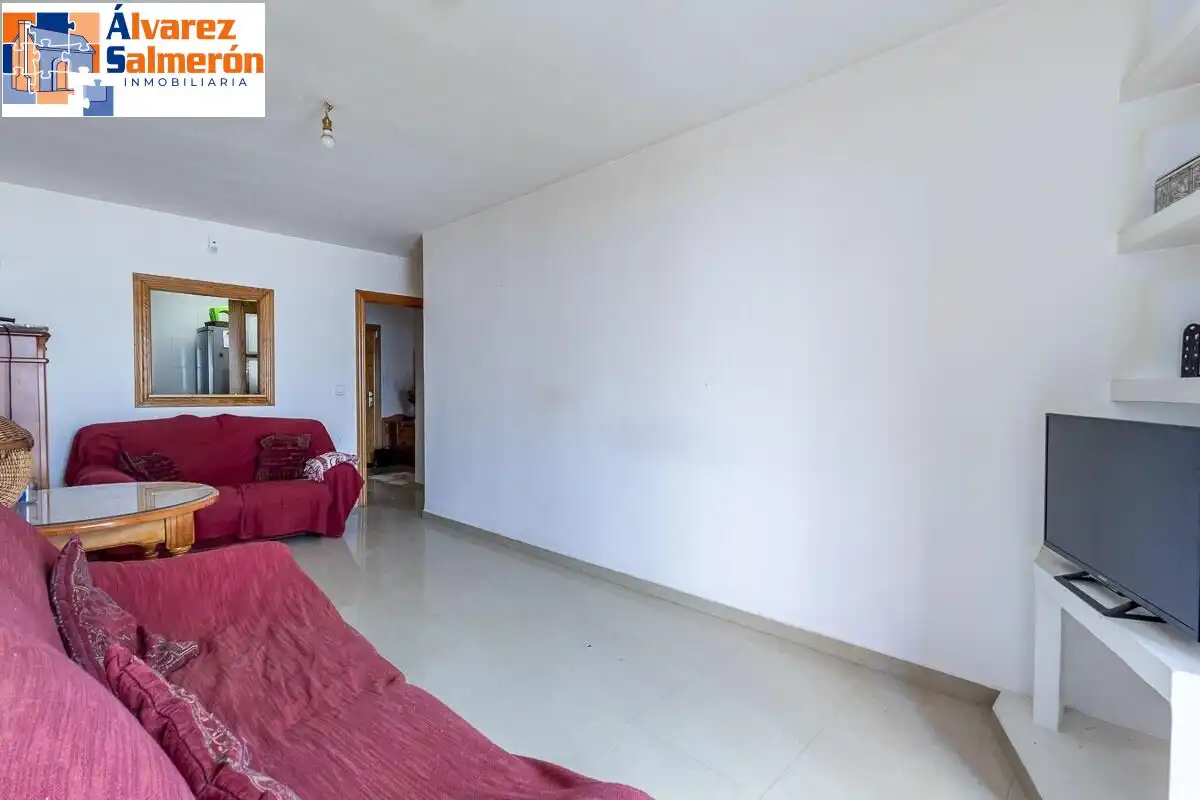 Wohnzimmer von Wohnung zum Verkauf in Granada mit Balkon