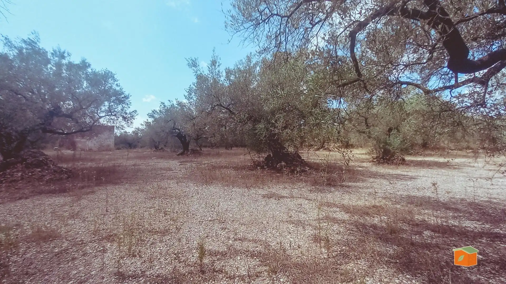 Maison rustique à vendre à Ulldecona, imagen 15