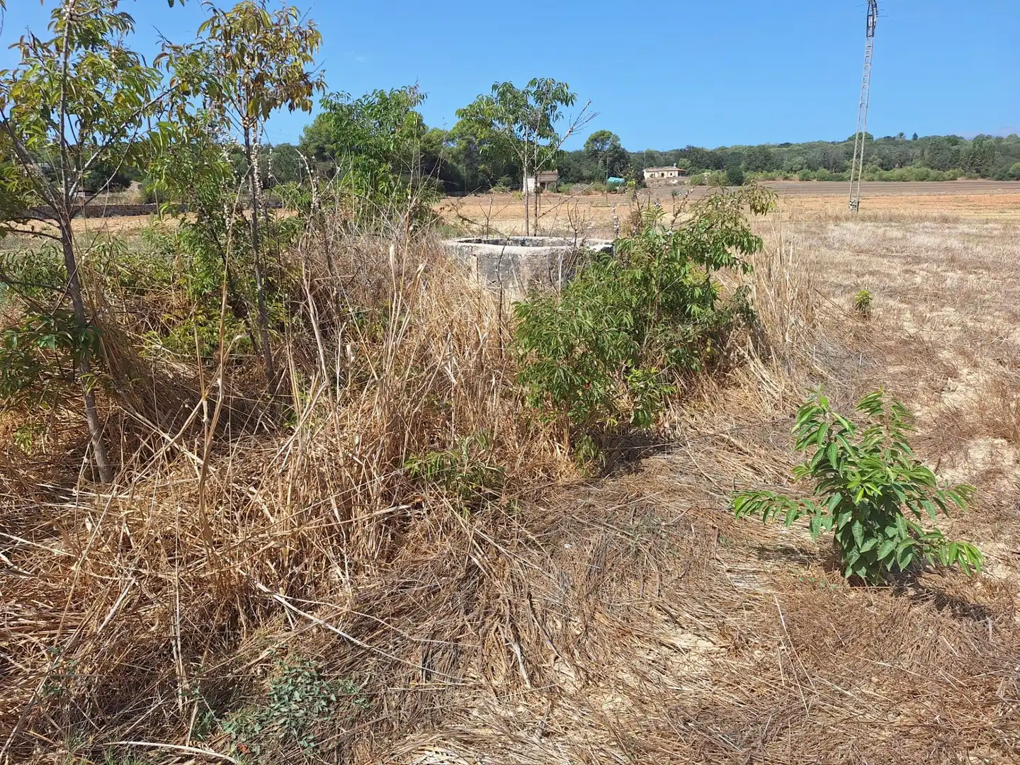 Terrenys i solars en venda a Sineu, imagen 11