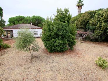Casa rustica con piscina in vendita a Las Vaguadas
