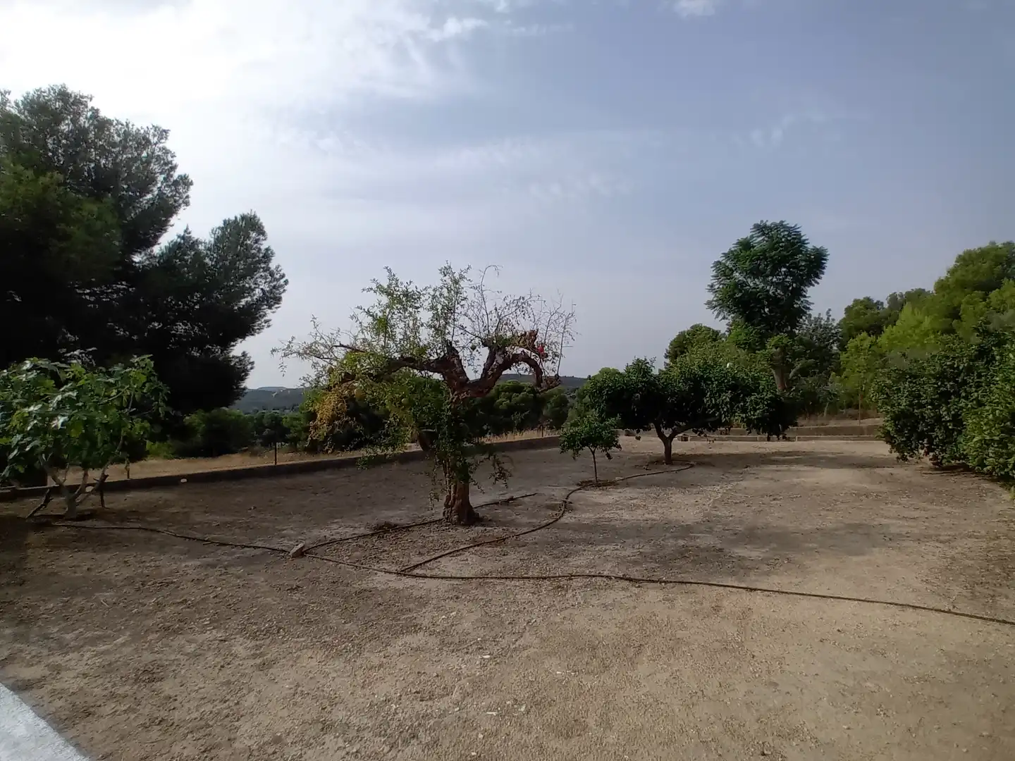 Detached house with pool for sale in Montserrat, imagen 27
