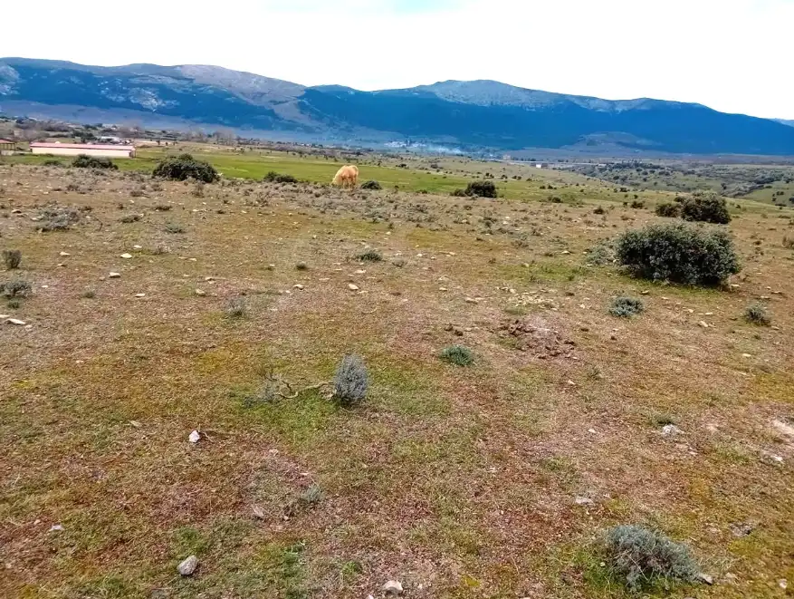 Terreni e lotti in vendita a PALAZUELOS-SAN ILDEFONSO 26, imagen 4