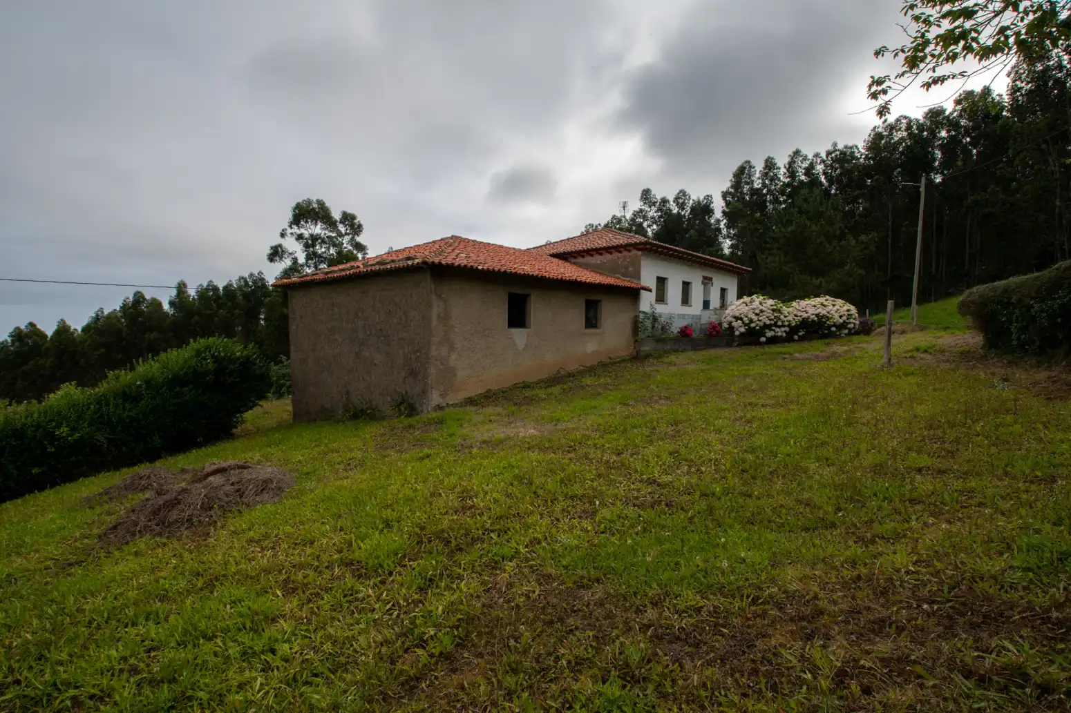 Exterior view of Houses for sale in Villaviciosa  with Private garden