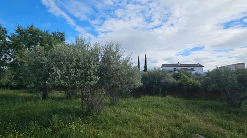 Foto 5 de Casa o xalet en venda a Calle Saturia Hidalgo M, Mestanza, Ciudad Real