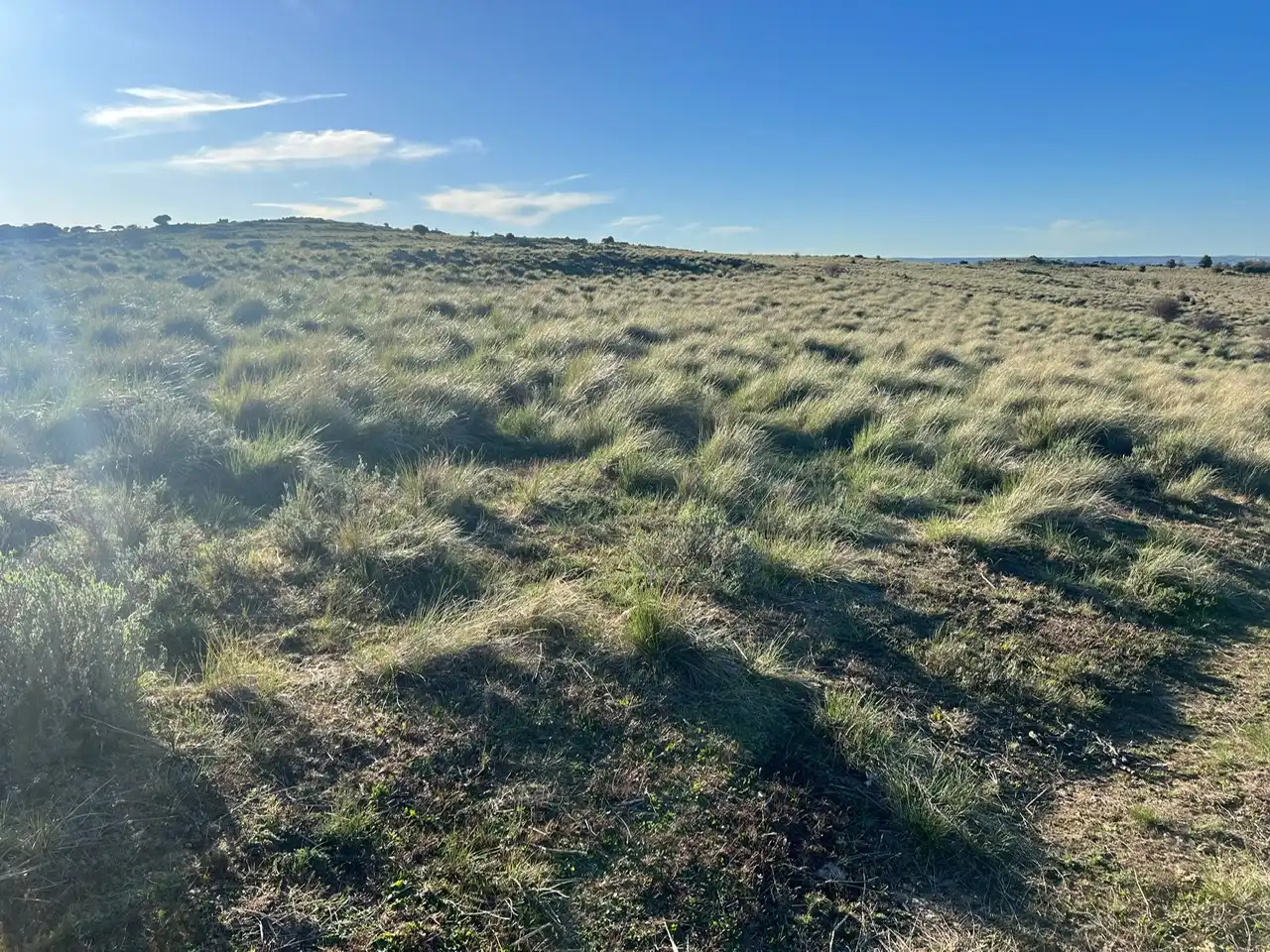 Terreni e lotti in vendita a Tornadizos de Ávila, imagen 48
