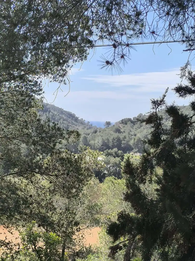 Vista exterior de Casa o xalet en venda en Bonastre amb Piscina