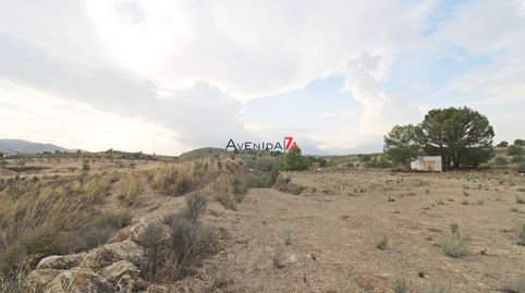Photo 5 of Land for sale in Ortillo, Lorca