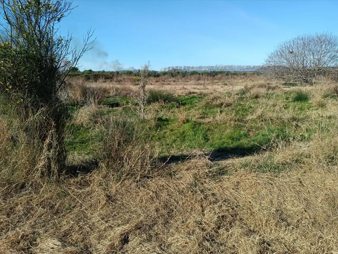 Terreny residencial en venda a Polígono 3, imagen 7