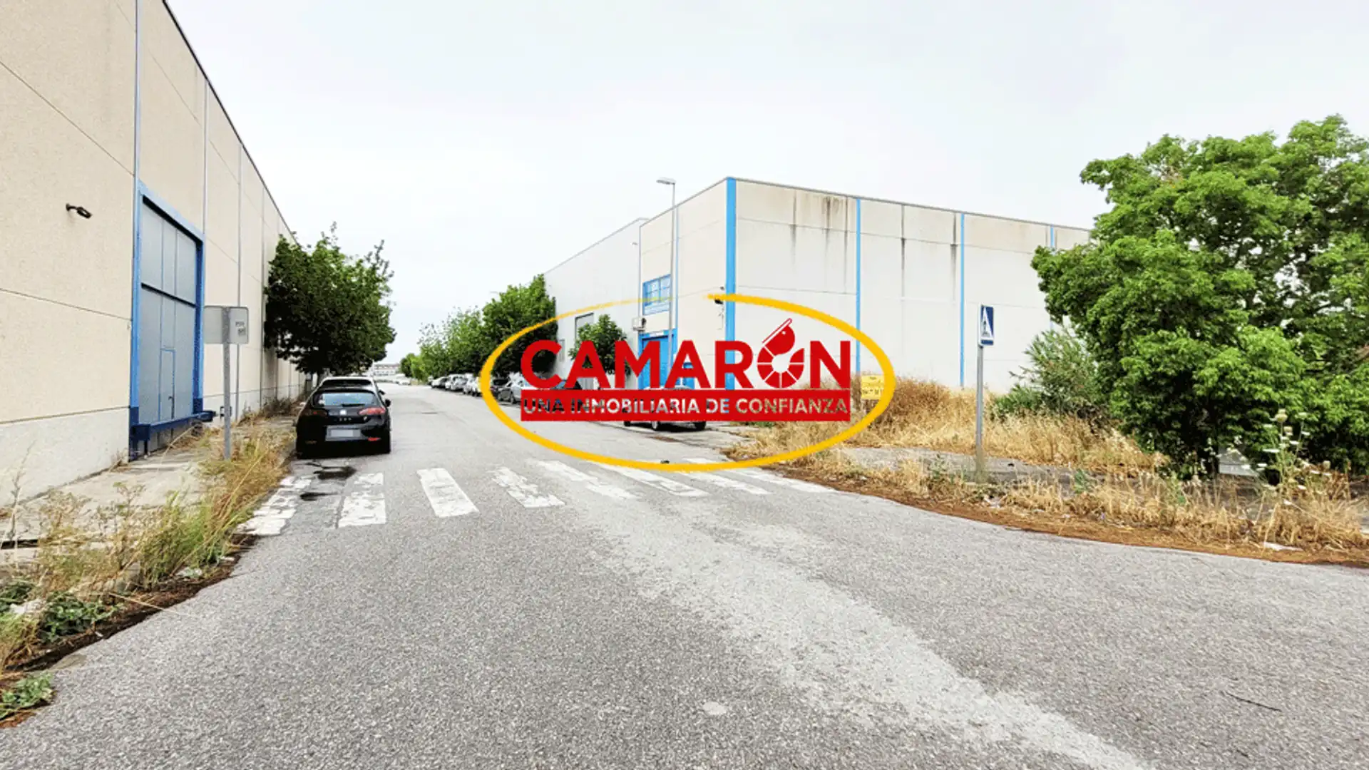 Vista exterior de Terreny industrial en venda en Palomares del Río