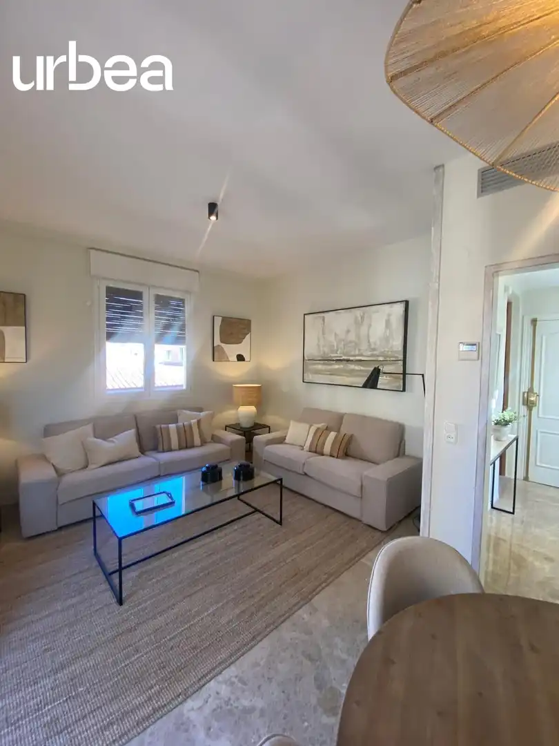Sala de estar de Ático de alquiler en Málaga con Terraza, Amueblado y Balcón