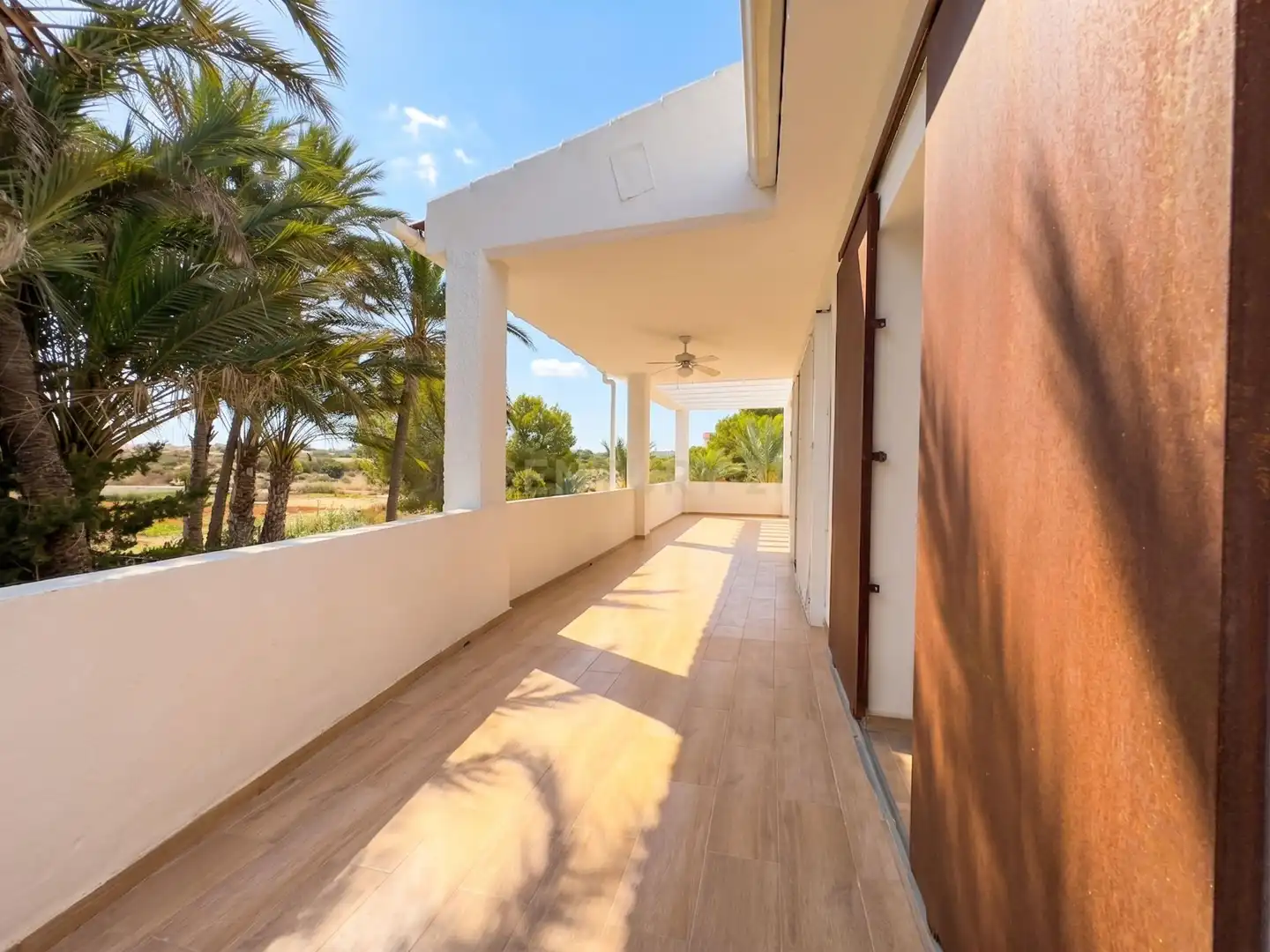 Gewerbefläche zum Verkauf in Barrio los Valeros, 32, 03178 Benijófar, Alicante, Spain, imagen 33