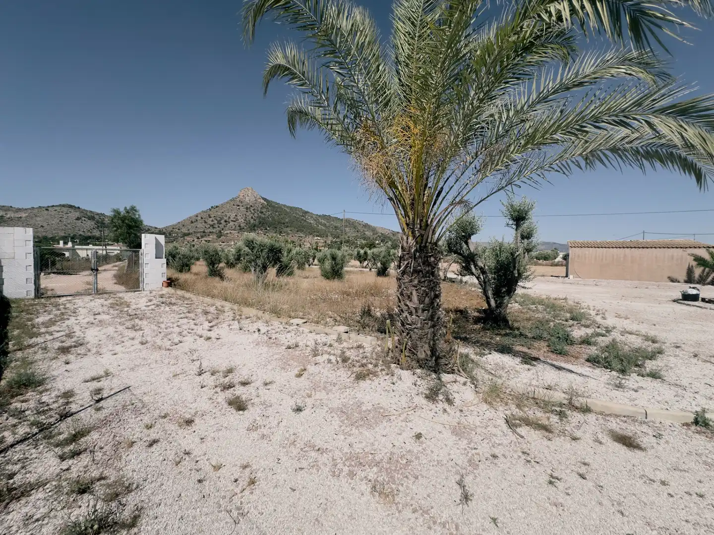 Casa o xalet en venda en Aspe amb Aire condicionat, Calefacció i Jardí privat