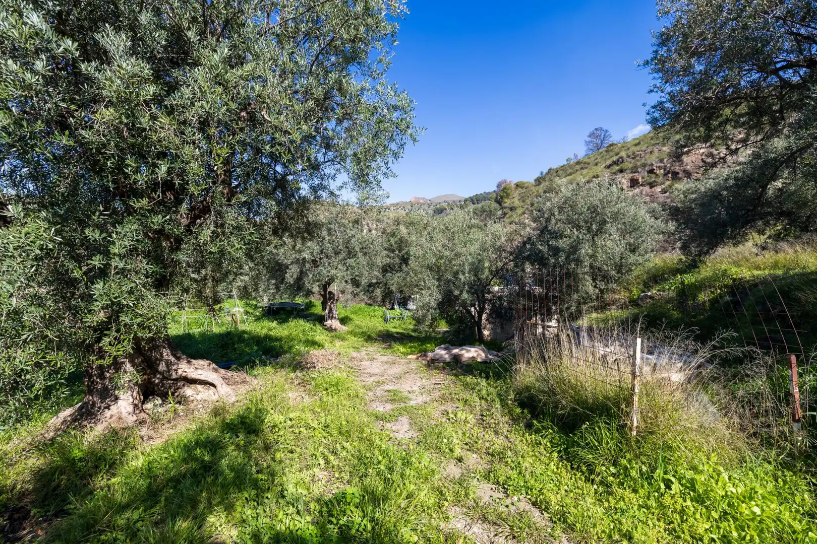 Rustikales Grundstück zum Verkauf in BARRANCO JUAN BUENO, POLIGONO 12, imagen 40