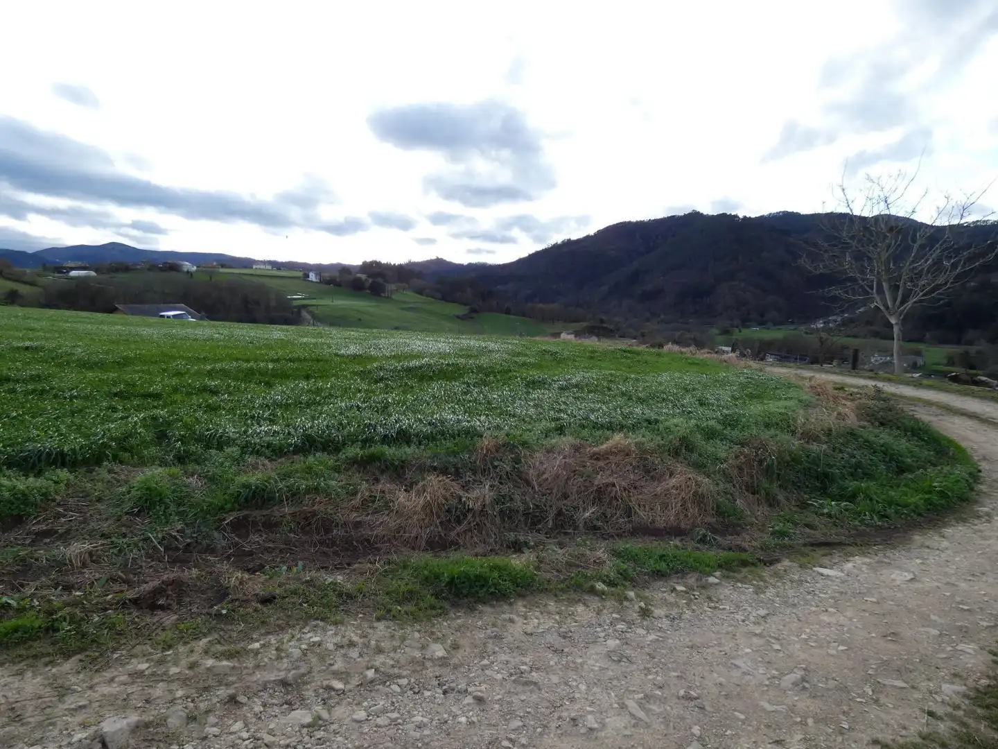 Grundstücke und Bauplätze zum Verkauf in Valdés - Luarca, imagen 5