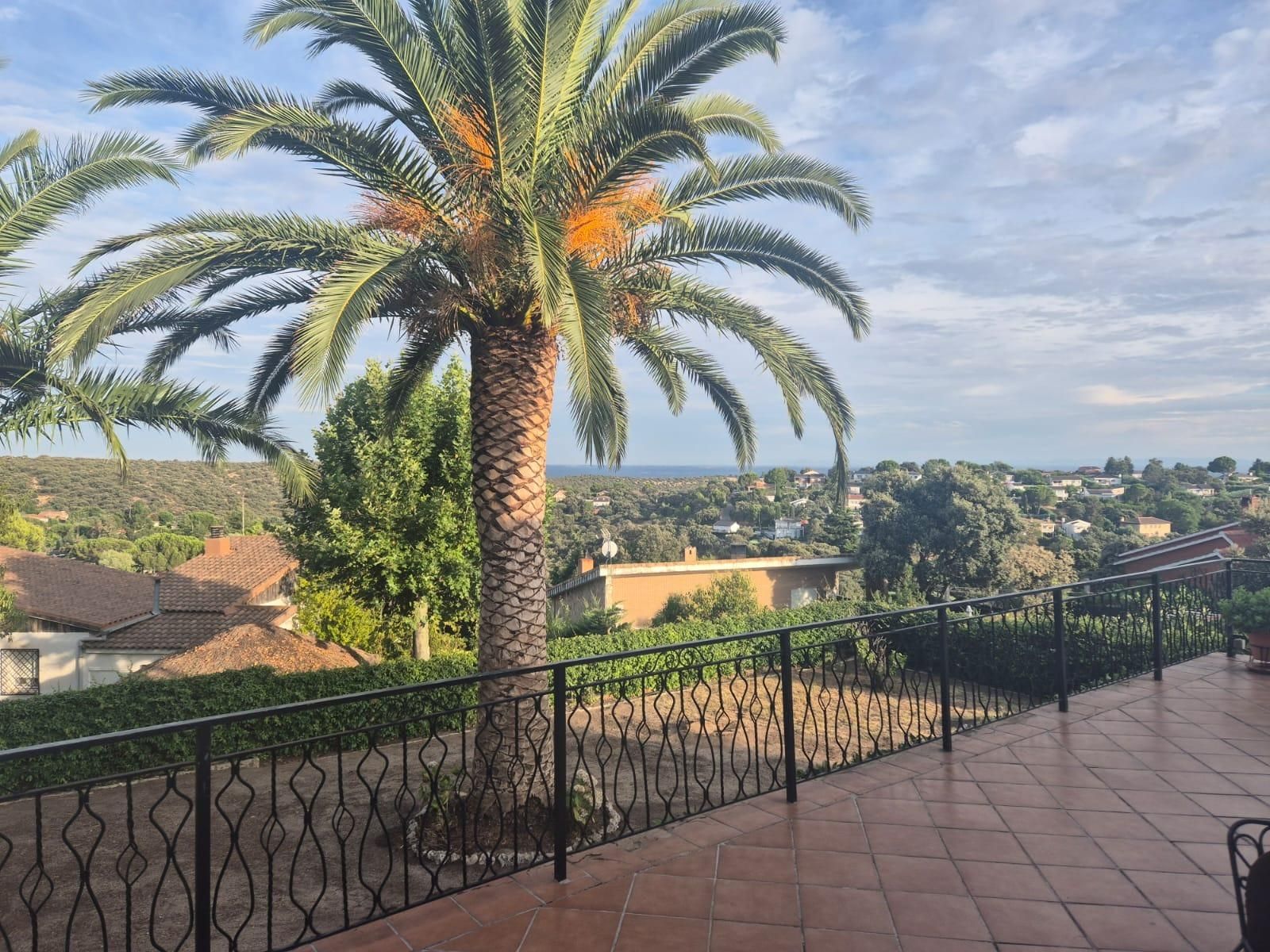 Exterior view of House or chalet for sale in Villa del Prado