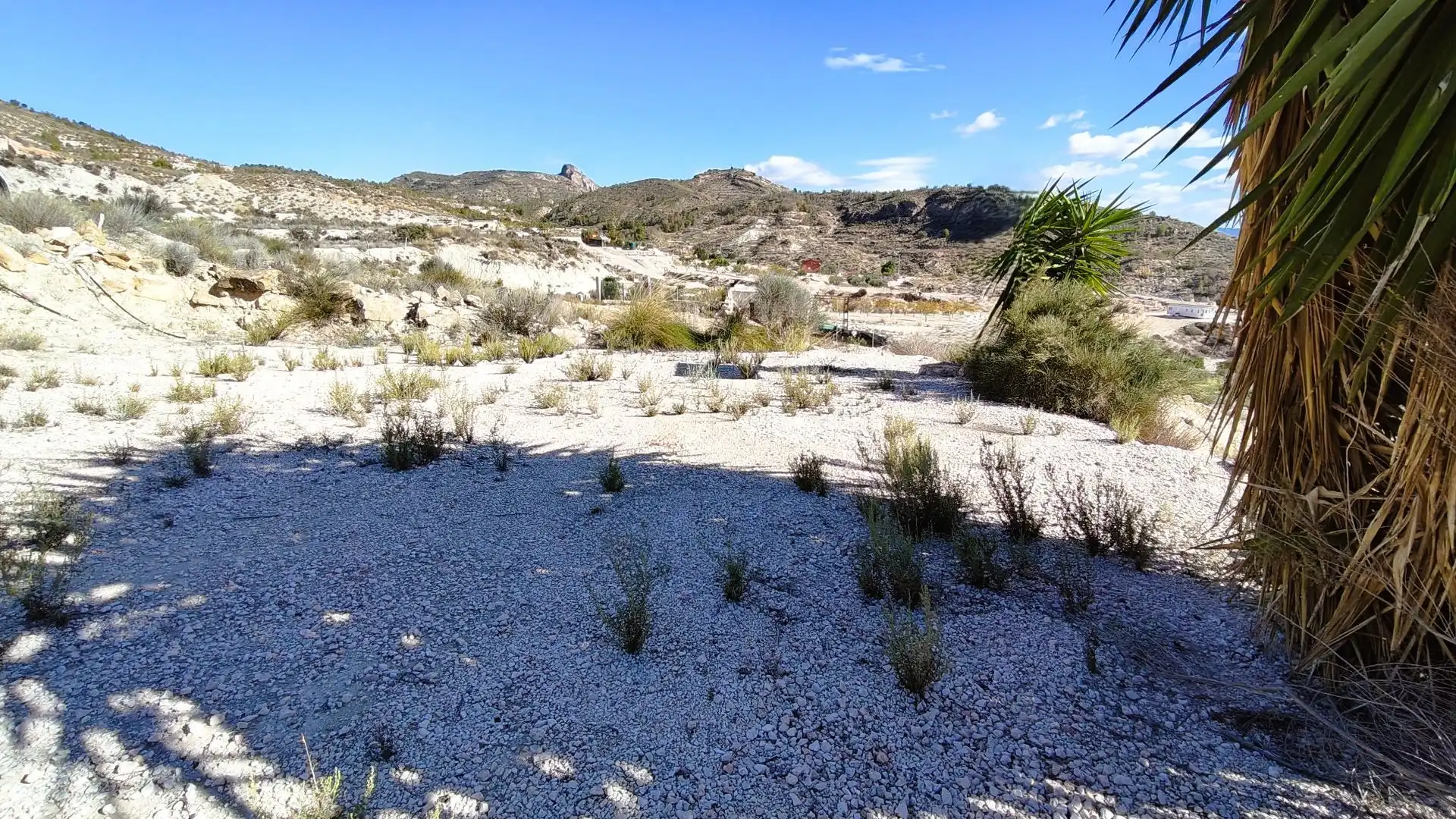 Rural land for sale in Fortuna, imagen 17