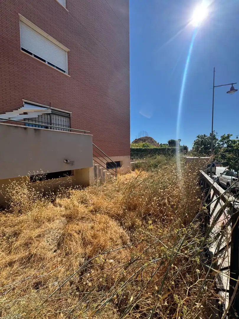 Ground floor for sale in Calle JOSE CARRION DE MULA, 8, San Alberto - La Alcubilla - Florisol
