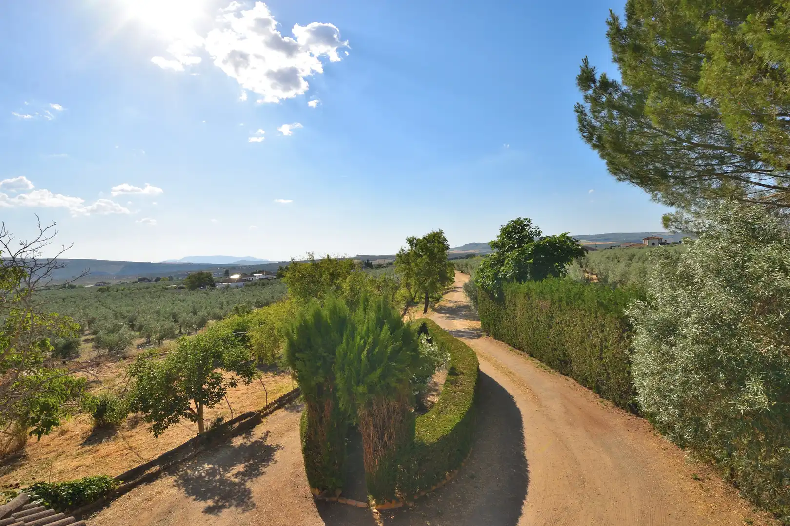 Jardín de Finca rústica en venta en Setenil de las Bodegas con Jardín privado, Terraza y Trastero