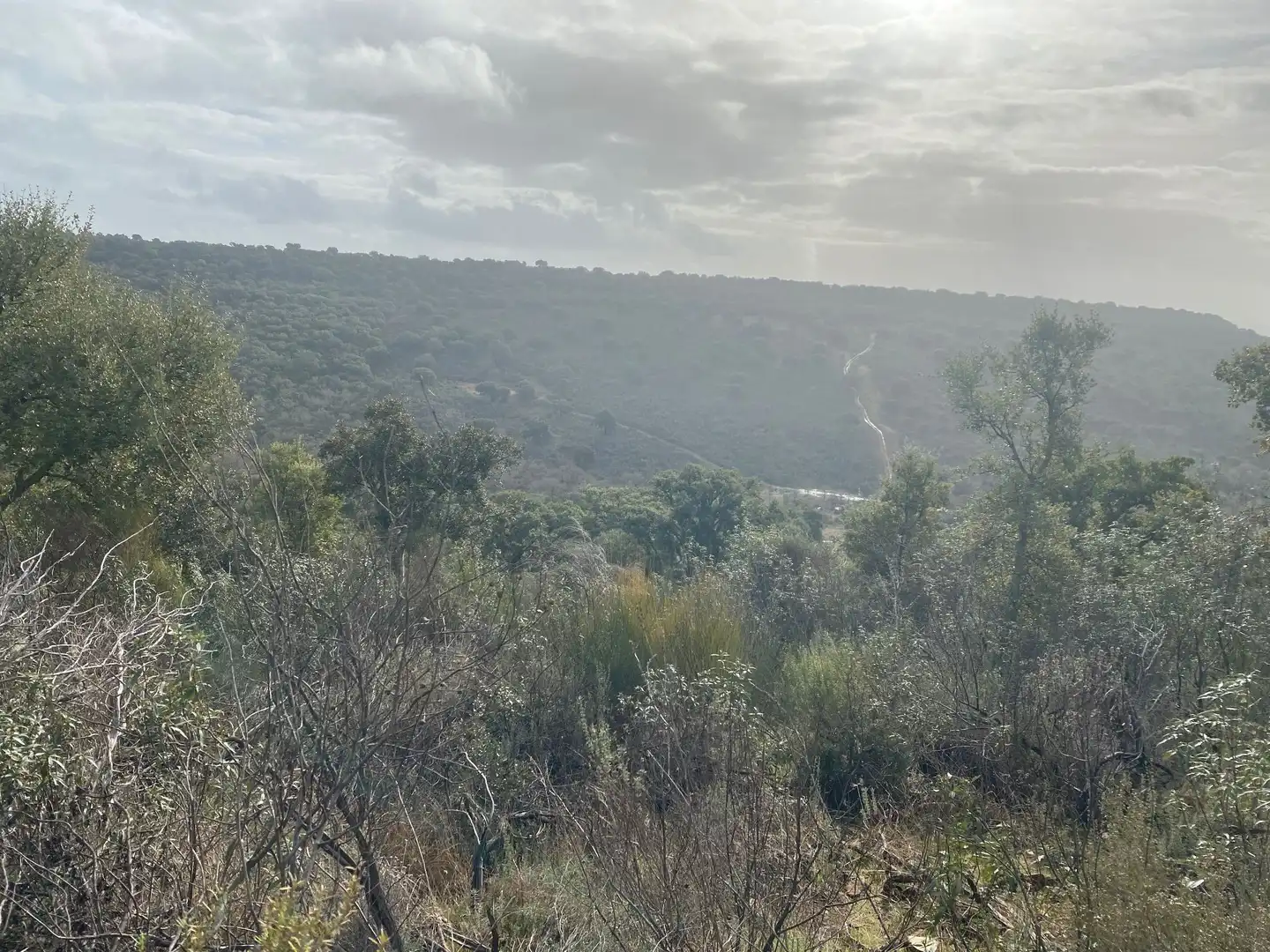 Terreno en venta en Anchuras