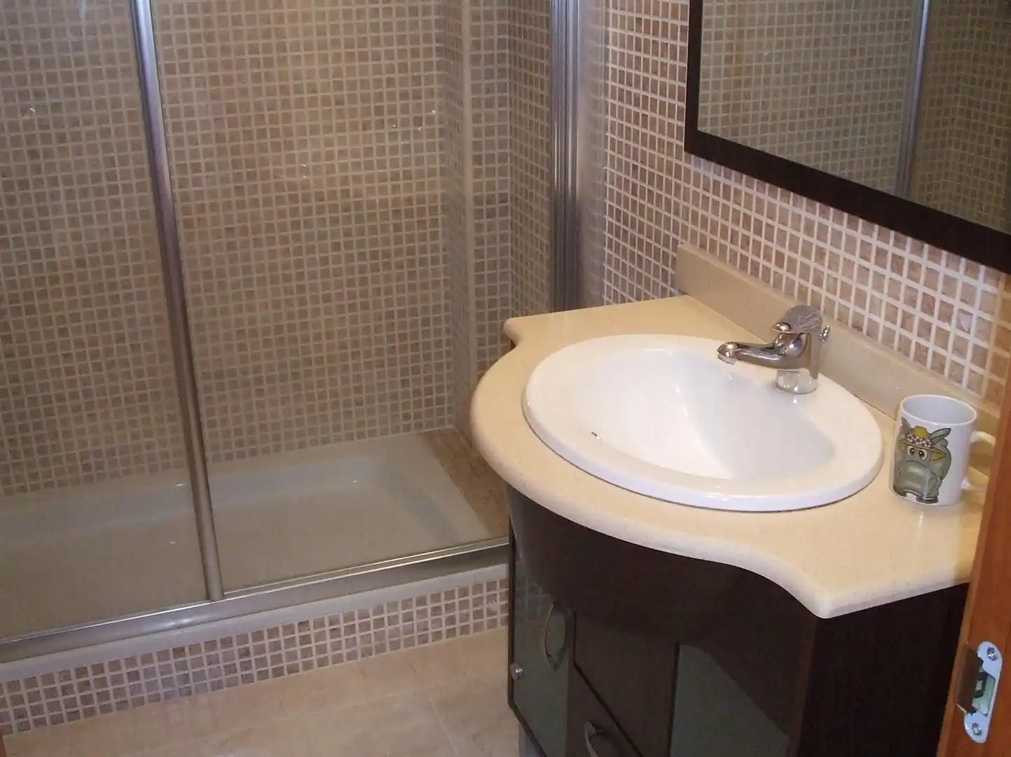 Flat with lift to rent in Instituts - Universitat, imagen 6