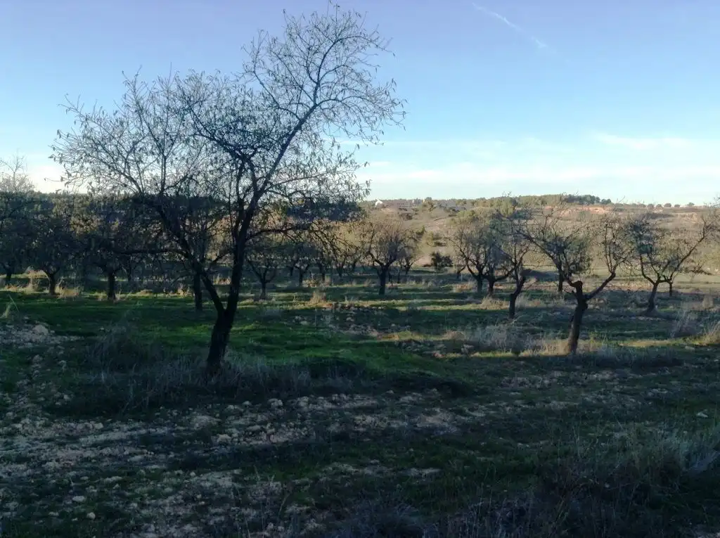 Terreni e lotti in vendita a Valderrobres, imagen 7