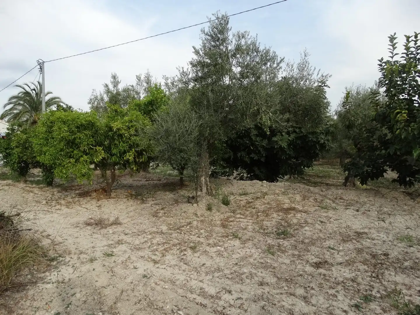 Villa avec piscine à vendre à Moratalla, imagen 26