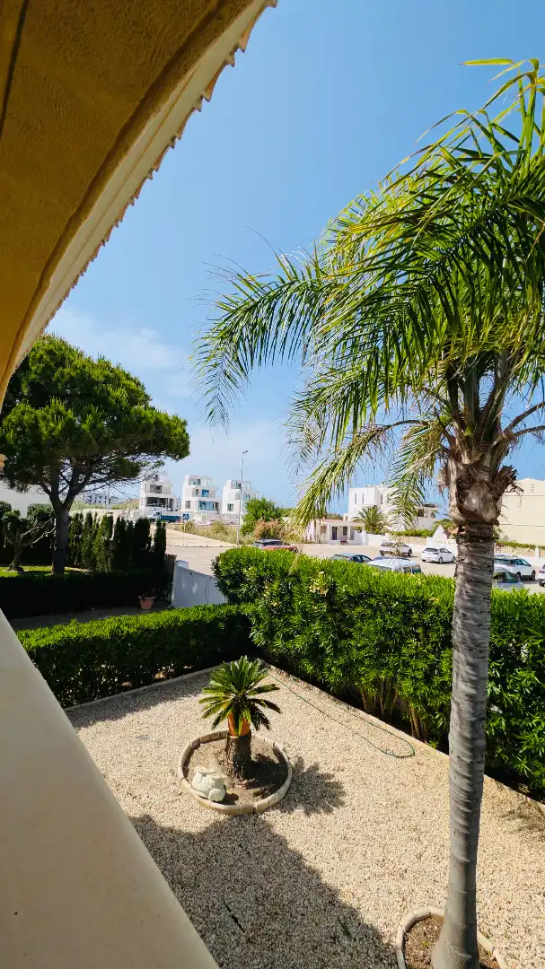 Vista exterior de Casa o xalet en venda en Oliva amb Aire condicionat, Calefacció i Jardí privat