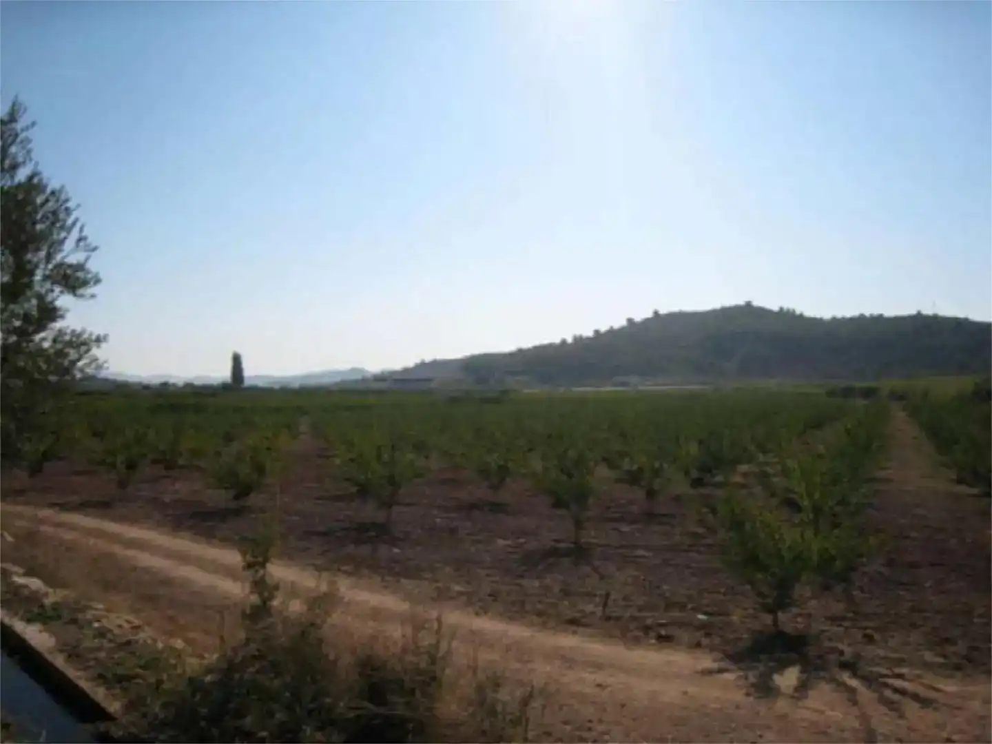 Terreno industrial en venta en Caravaca de la Cruz