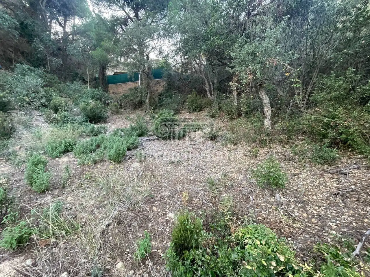 Terreny rústic en venda a Alzines, imagen 5
