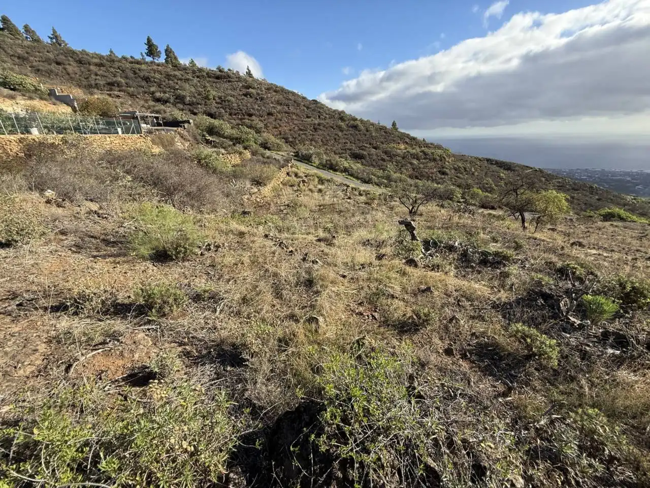 Rural land for sale in Camino Montesinas, imagen 12
