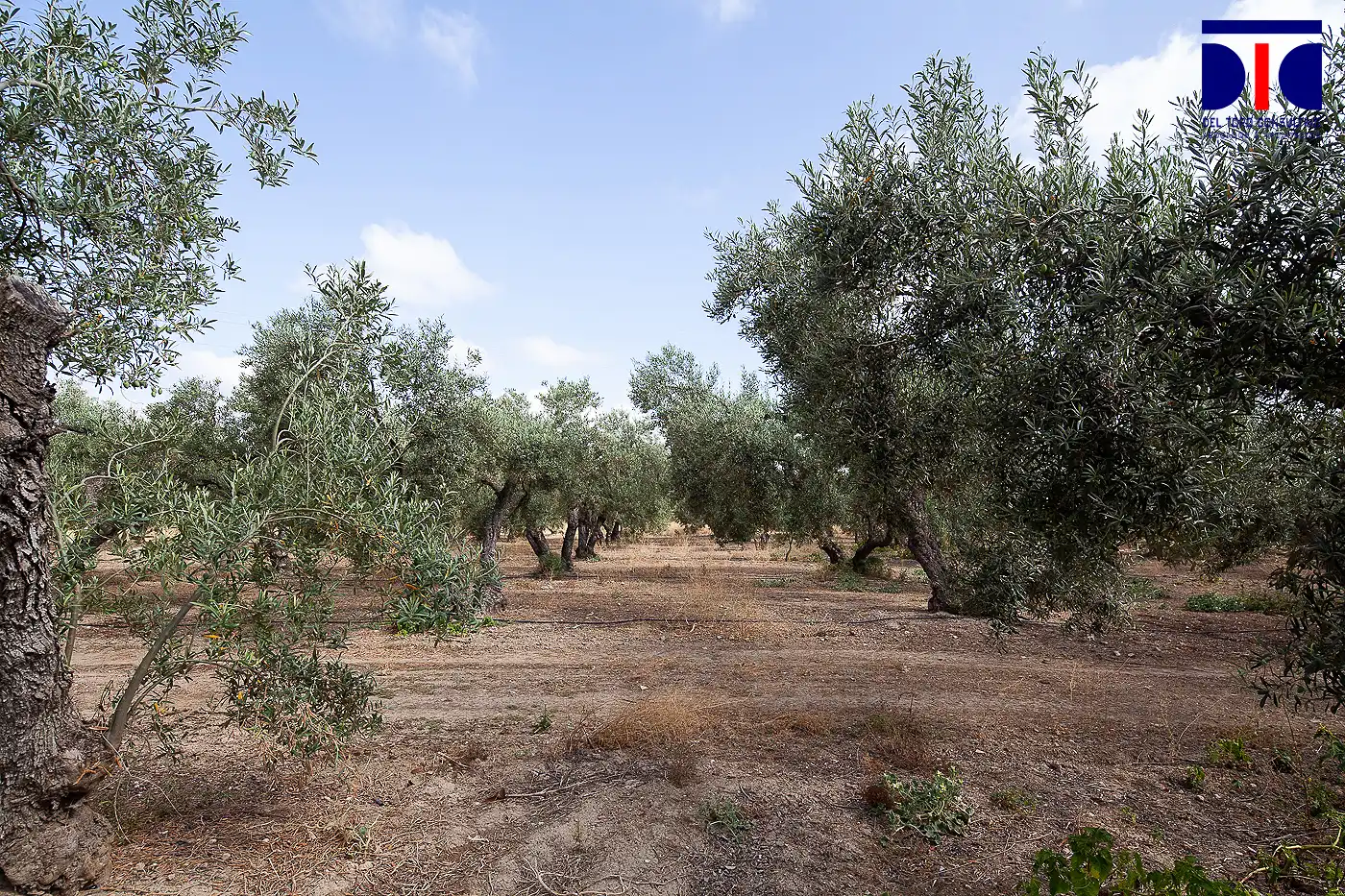 Finca rústica en venta en Carmona con Jardín privado, Terraza y Piscina