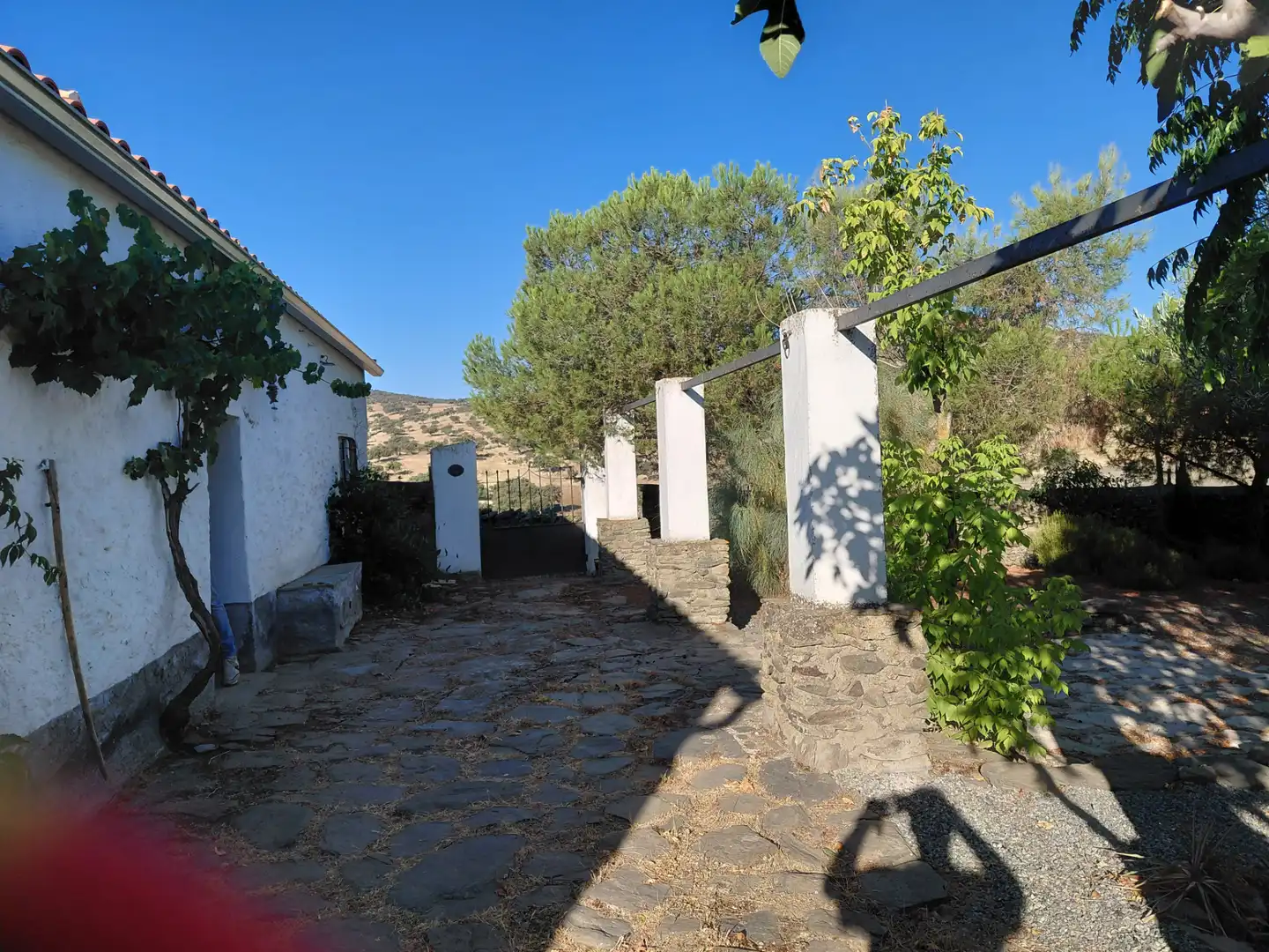 Vista exterior de Finca rústica en venta en Segura de León con Jardín privado, Terraza y Amueblado