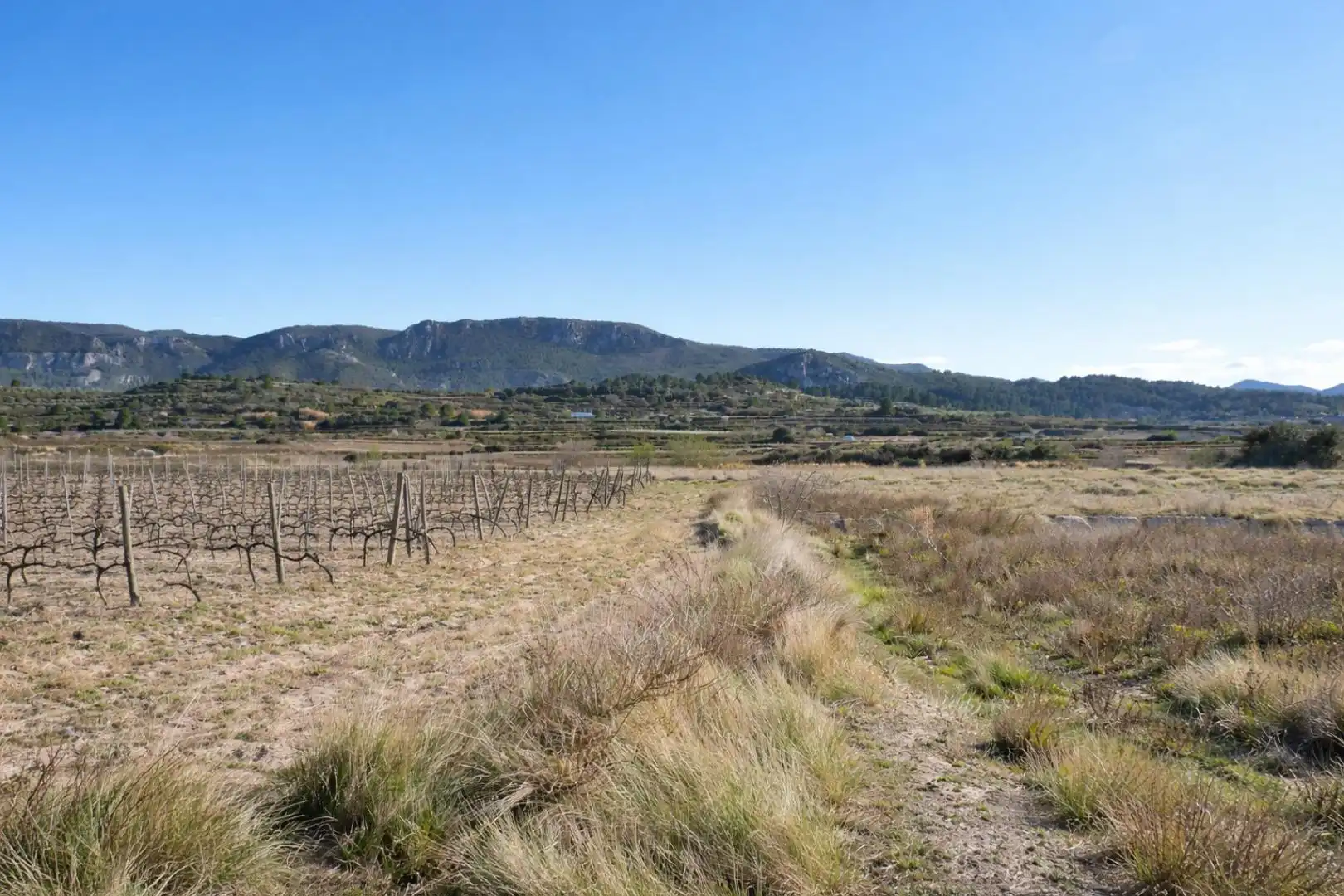 Terreno rústico en venta en Castelló de Rugat, imagen 6