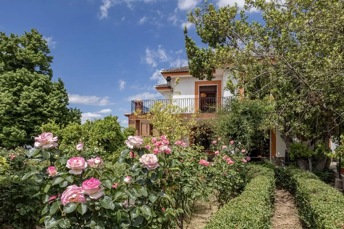 Detached house with pool for sale in Calle del Albaricoque, imagen 33