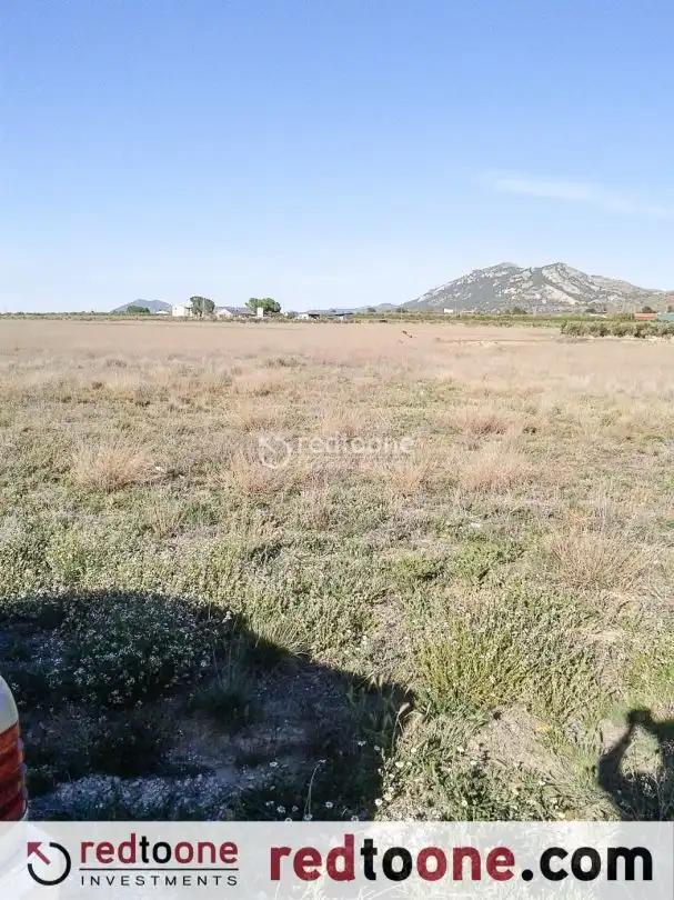 Rural land for sale in Las Tiesas, imagen 2